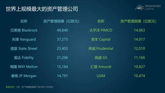 小烏龜學投資系列七 撥開迷霧，慧眼識珠——如何比較與區(qū)分海外股權投資機構